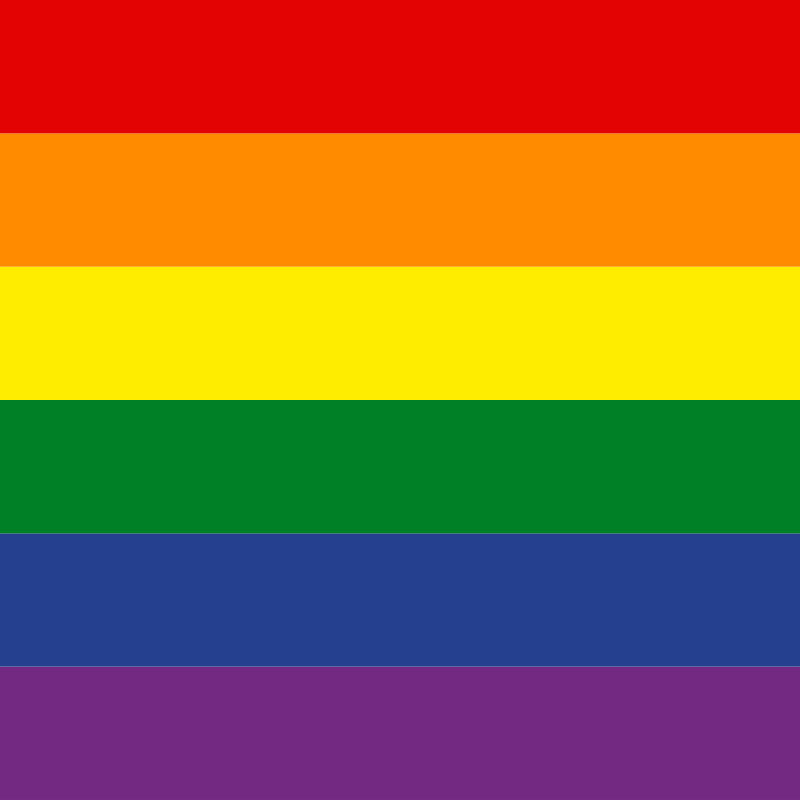 LGBT+ pride rainbow flag square profile 