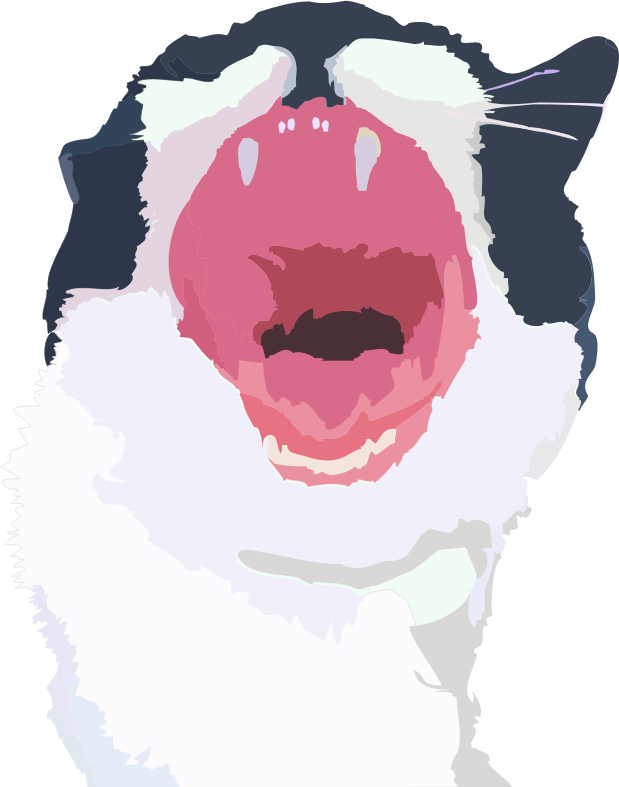 cat roar or yawn jaws cartoon style