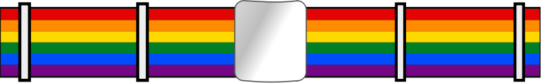 LGBT gay pride rainbow belt in 6 colors 