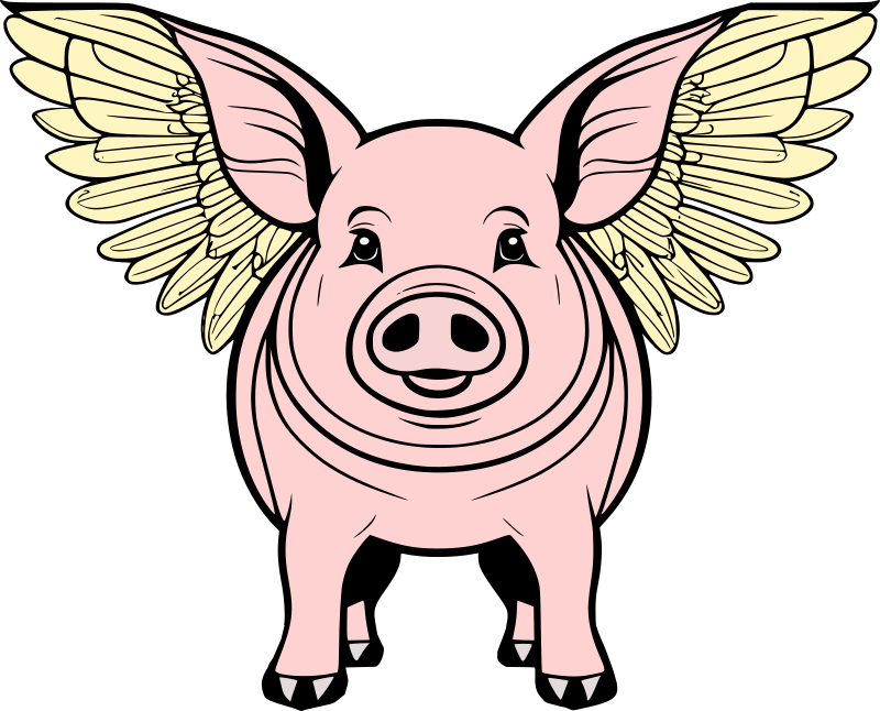 Pig with Wings