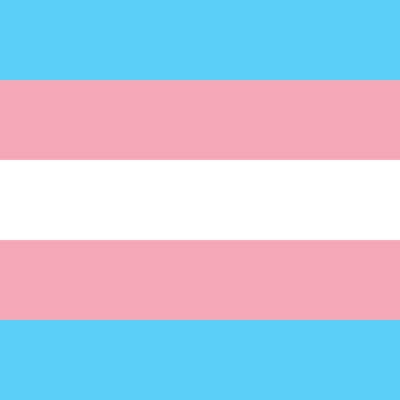 Trans pride flag square