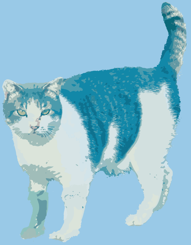 Kittie Cat on Blue