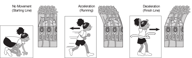Kids running with muscle example
