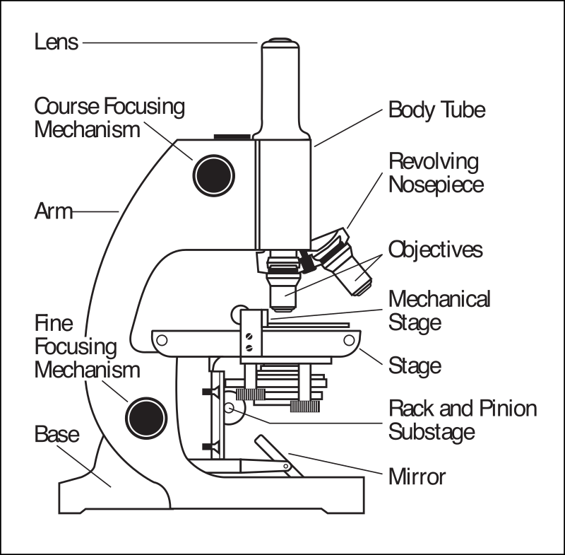 Microscope parts labeled