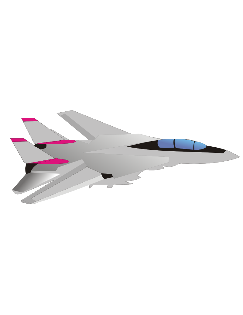 F14 Tomcat Fighter Jet