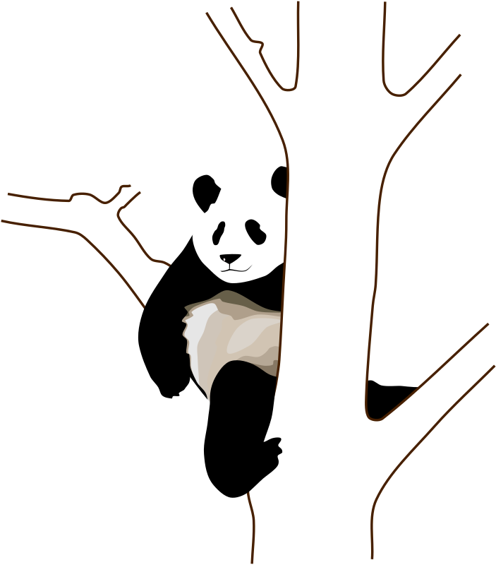 giant-panda-2