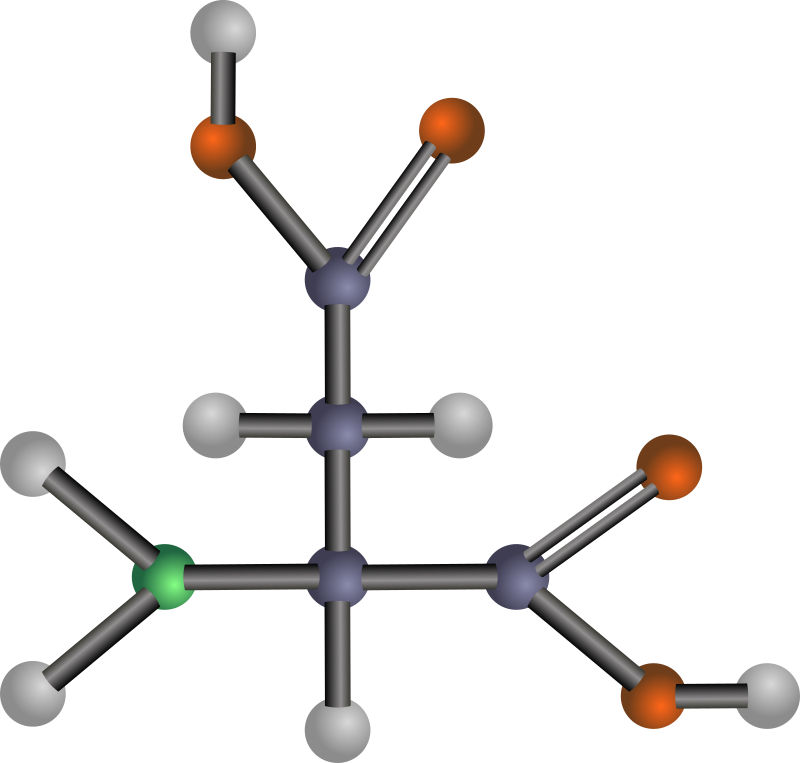 Aspartic acid (amino acid)