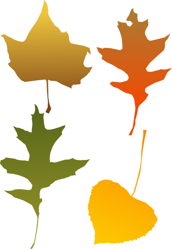 Autumn Leaf selection