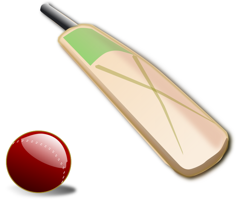 Cricket ball and bat