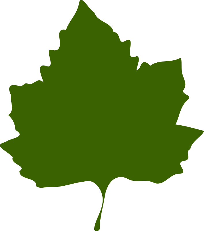 leaf 02
