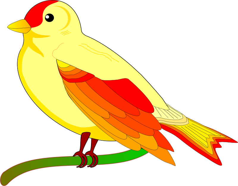 bird of peace mauro oliv 01