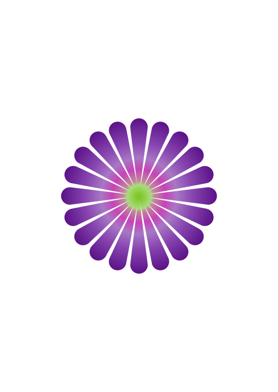Purple Daisy 20