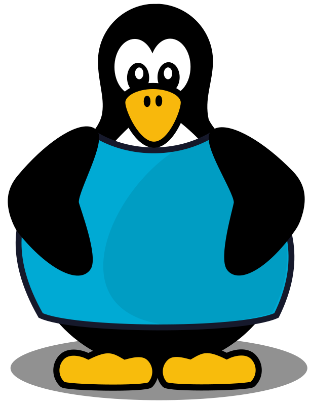 Penguin with a shirt