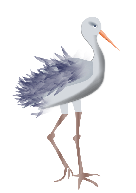 Bird with legs